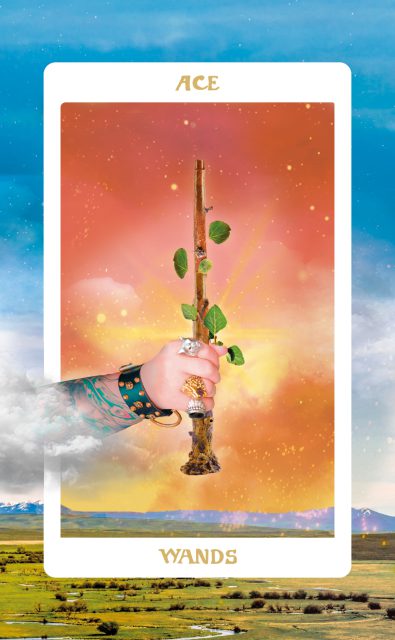 ace of wands