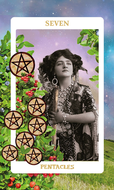 Seven of Pentacles