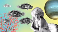 pisces season