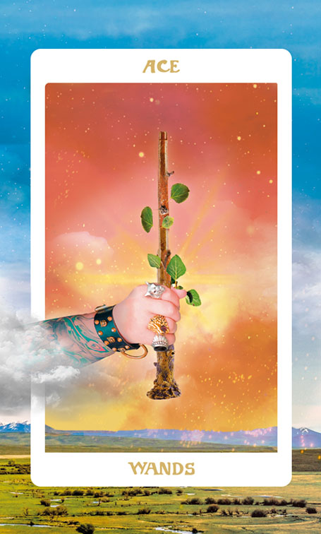 Ace of Wands
