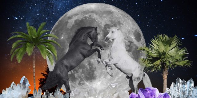 full moon in sagittarius