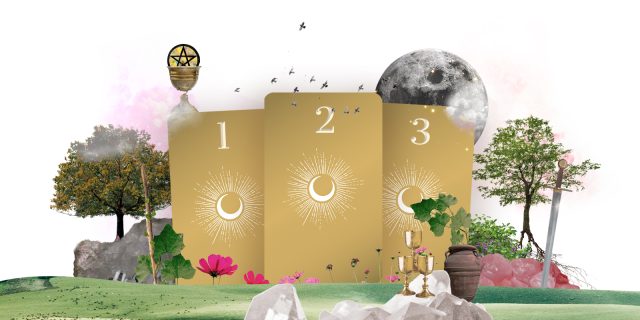 3 card backs